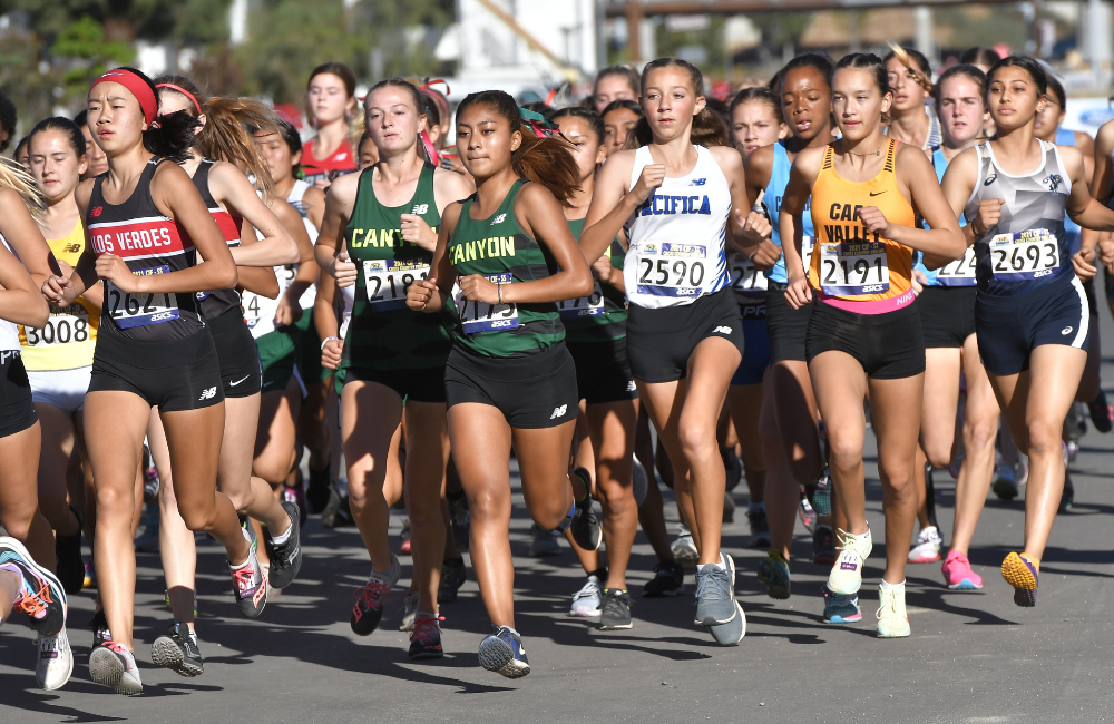 Cross Country – Teams/Individuals Qualifying to FINALS on November 20, 2021